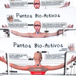 Ficha de Puntos Bioactivos